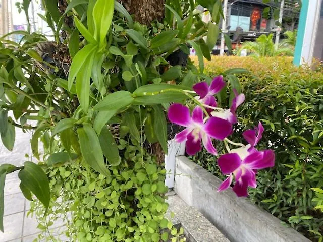 Vivi Avenue Thonglor Banguecoque